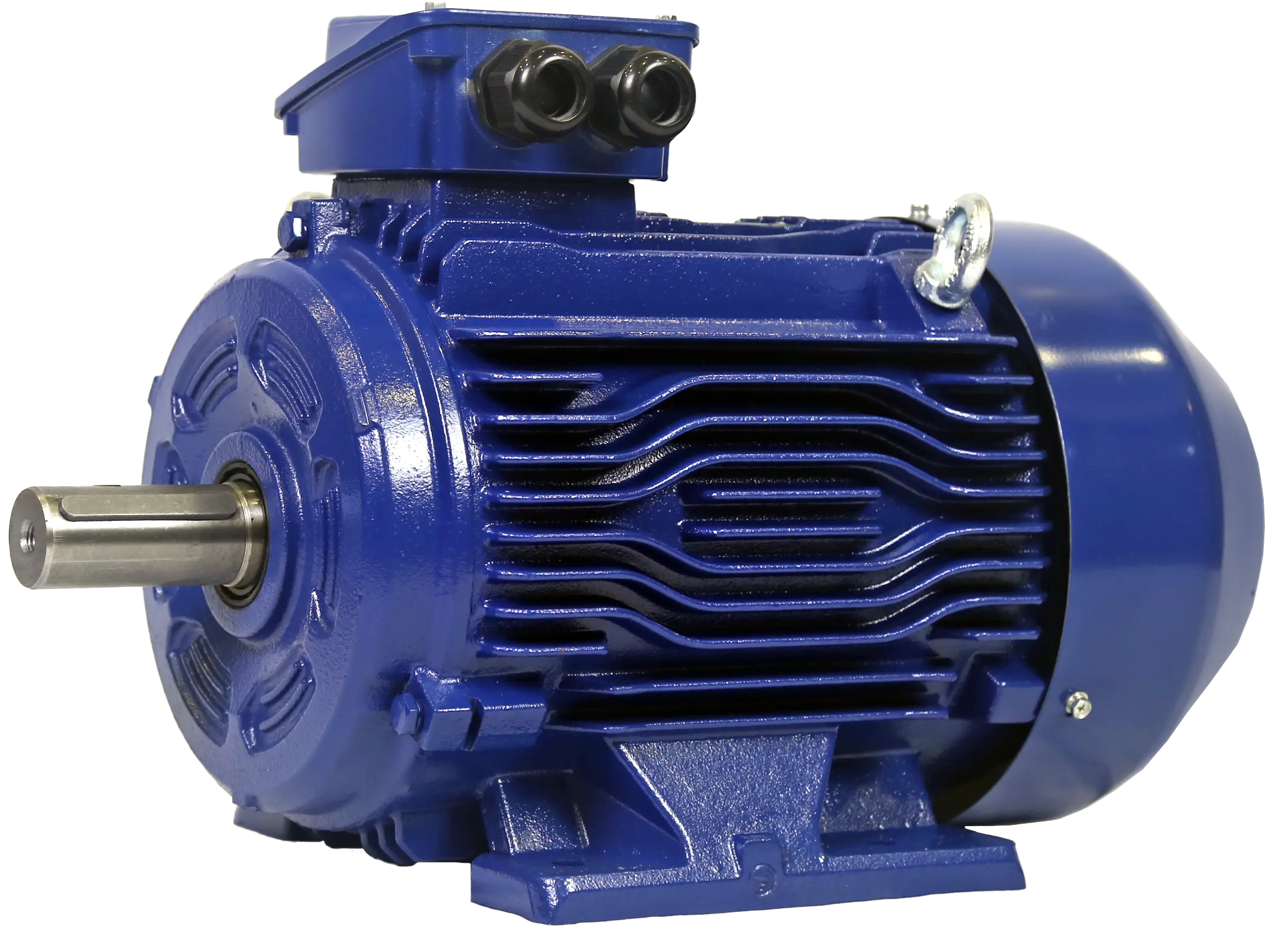 IE3 Motors with NEA Endorsement in Singapore